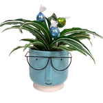A fun creation in our 'selfie' planter pot along with a couple truffles to enjoy. Sure to bring a smile to the lucky one to receive this gift. We'll include a delicious box of chocolates with the deluxe version.