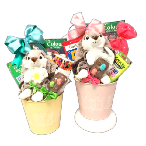 The littlest Cottontail will just love all the fun delights in this Easter gift basket. There's an activity book and fun game, a cuddly plush bunny plus scrumptious sweet treats to enjoy. In the "Special Instructions" tell us the age of the child and we'll be sure to design the gift basket to be age appropriate. Two variations of this gift basket are shown. Only ONE gift basket is included.