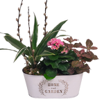 Our beautiful "Home & Garden" tin is filled with lush green and flowering plants. A beautiful touch for someone special's home.  