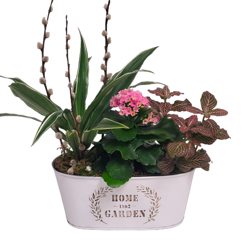 Our beautiful "Home & Garden" tin is filled with lush green and flowering plants. A beautiful touch for someone special's home.  