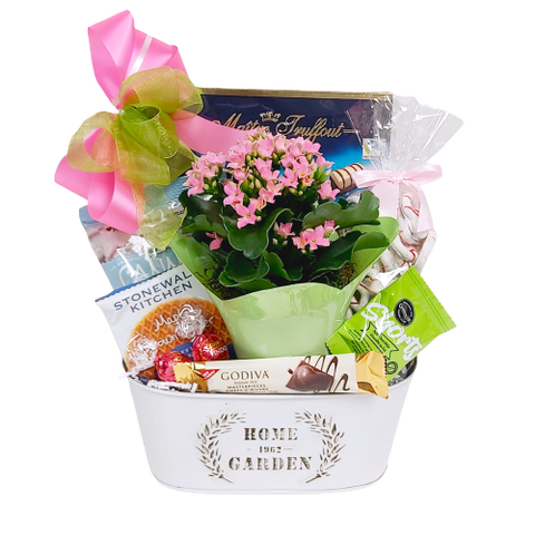 A pretty blooming plant nestled in a pretty tin with delicious chocolates, cookies & sweet treats. Sweets to enjoy and a flowering plant to nurture and grow.