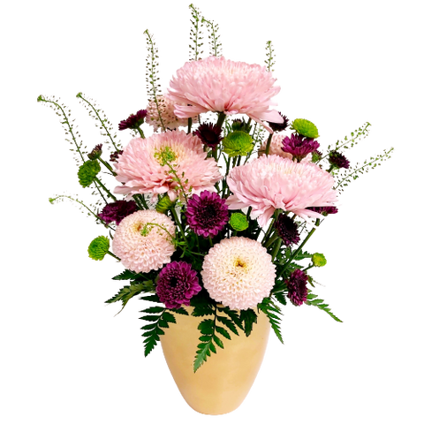 For your fantastic Mum!  Arranged in a pretty golden pot with an assortment of long lasting mums in pinks, purples and greens with lovely accent greenery. 