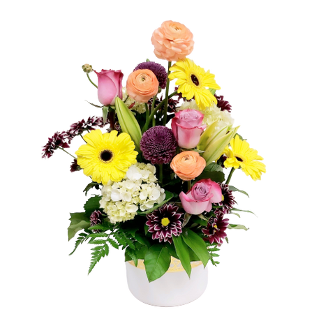 Beautiful blooms of ranunculus, gerbera, hydrangea, roses, mums and lilies all nestled in a beautiful pot with gold etching. Lush and full, this one is sure to please!