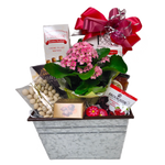 A pretty blooming plant nestled in a pretty tin with delicious chocolates, cookies &amp; sweet treats, cheese and crackers and delicious jam too! Lots of treats to enjoy and a flowering plant to nurture and grow.