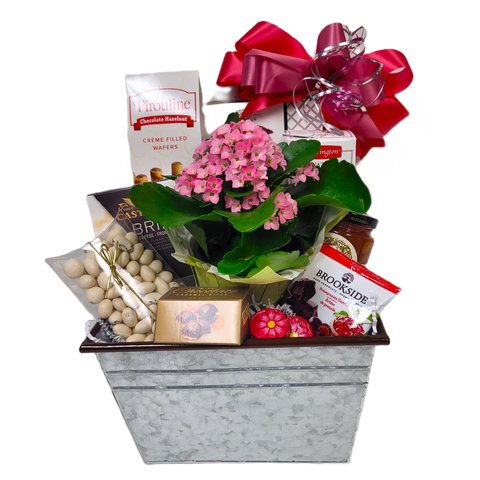 A pretty blooming plant nestled in a pretty tin with delicious chocolates, cookies &amp; sweet treats, cheese and crackers and delicious jam too! Lots of treats to enjoy and a flowering plant to nurture and grow.