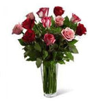 Soft & elegant vase arrangement of a dozen roses in red and pinks.