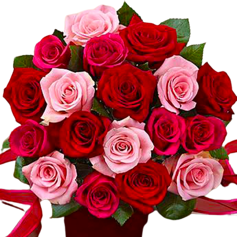 Beautiful European hand-tied bouquet of 18 red and pink roses.