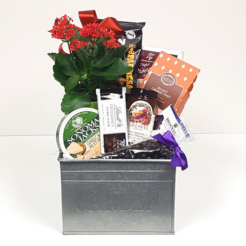 A pretty garden tin gift basket loaded with cheese, chocolate, jam, cookies and a potted plant to enjoy.